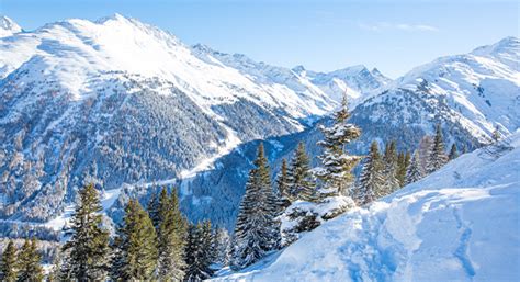 skidresor|Skidresor till Österrike, Frankrike och Italien 